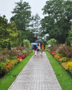 5 Tips To Weather The Longwood Gardens Rain The Parnassus Pen